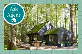 Green grid BHG Ask an Agent treatment with black home exterior