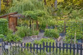 Vegetable garden with raised beds and a black fence