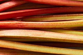 Daily Life Network & Gardens