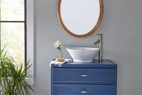 Bathroom vanity with a vessel sink, oval mirror, and plants
