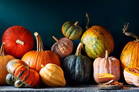 different types of edible pumpkin and squash on display