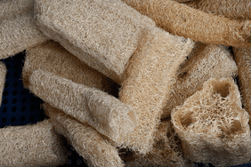 natural loofah sponges made from luffa plants